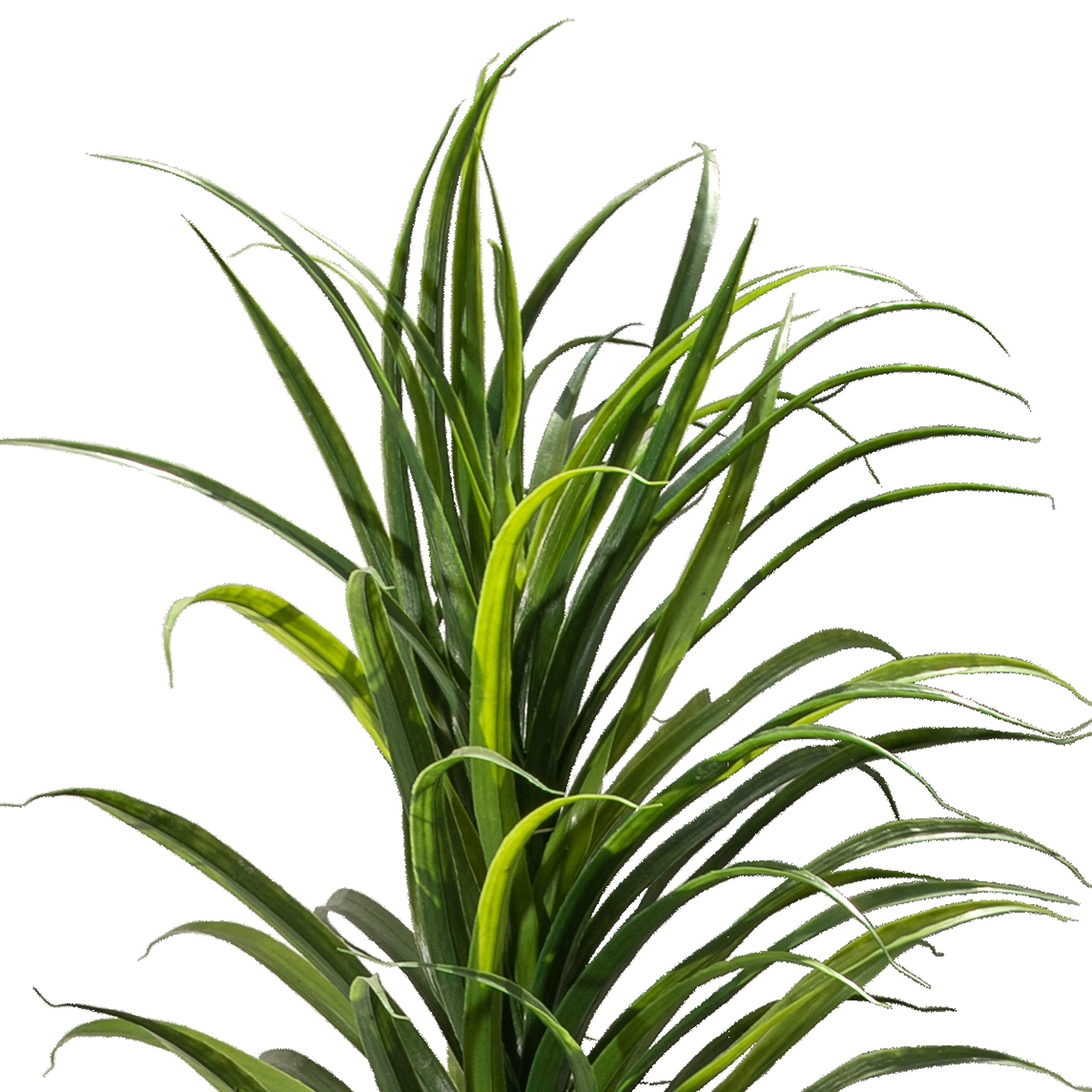 Grass Plant with Fiber Stone Pot - From Where - 