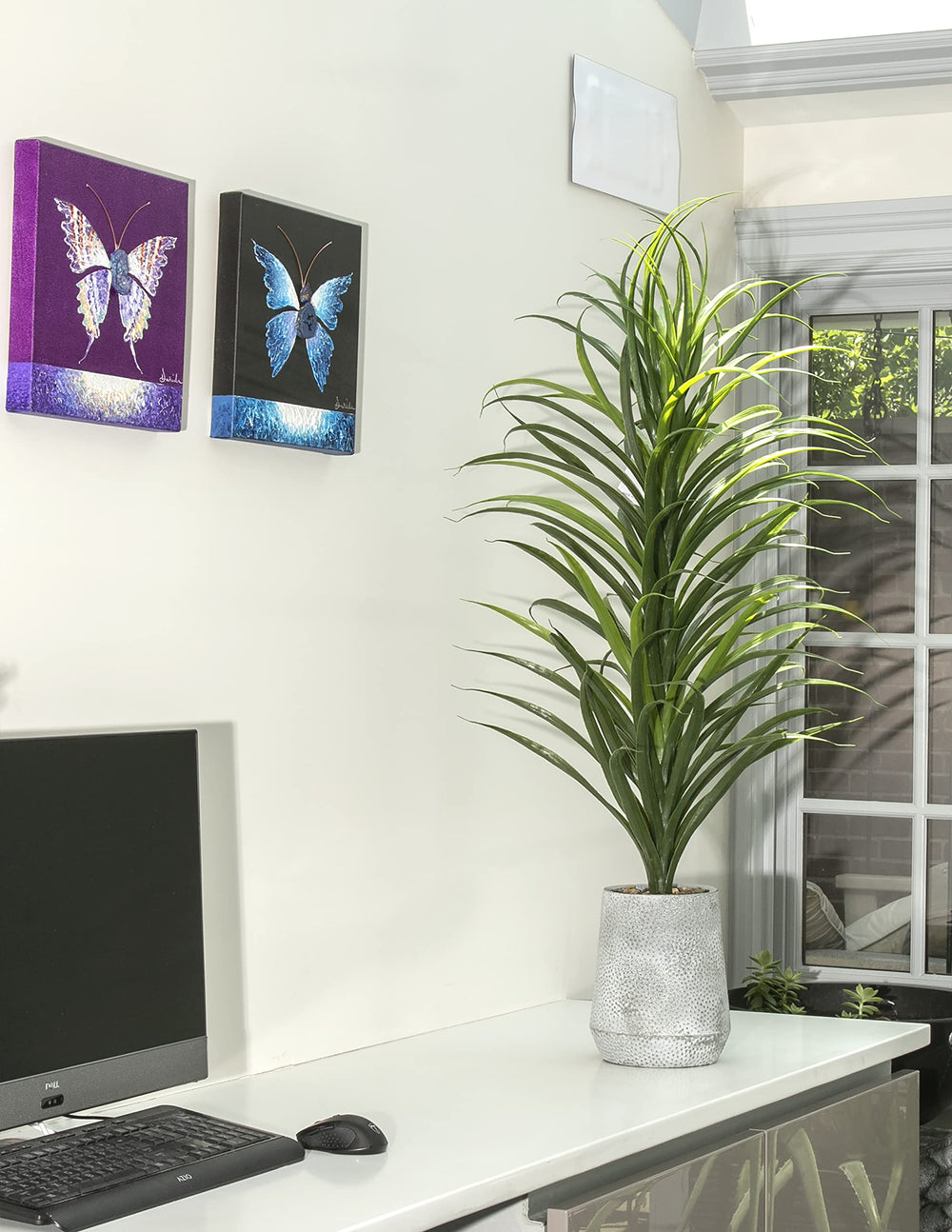 Grass Plant with Fiber Stone Pot - From Where - 