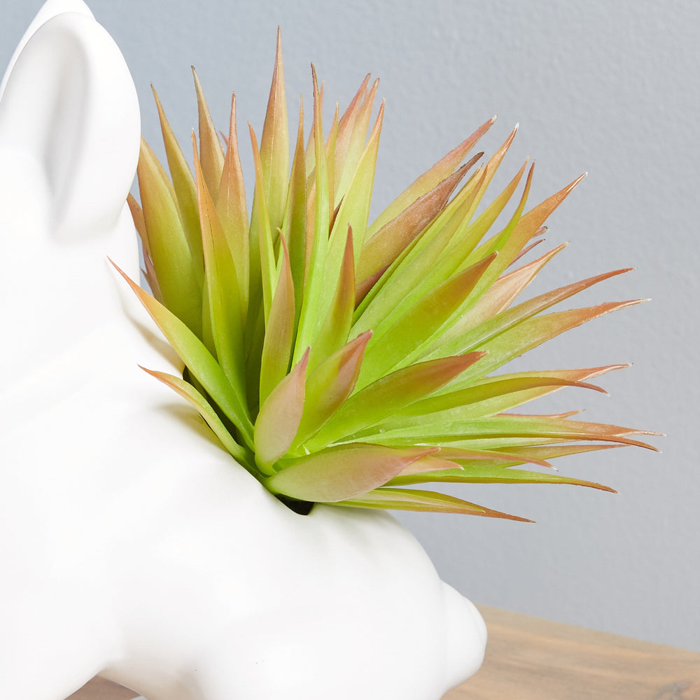 Green and White Artificial Succulent Plants - From Where - 