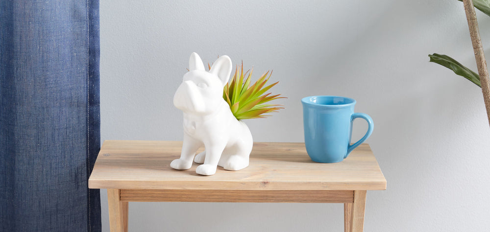 Green and White Artificial Succulent Plants - From Where - 