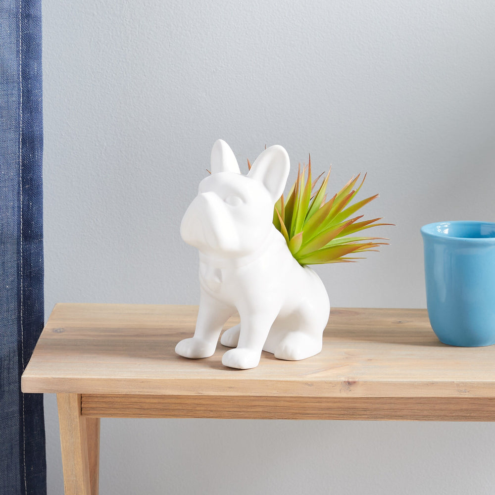 Green and White Artificial Succulent Plants - From Where - 