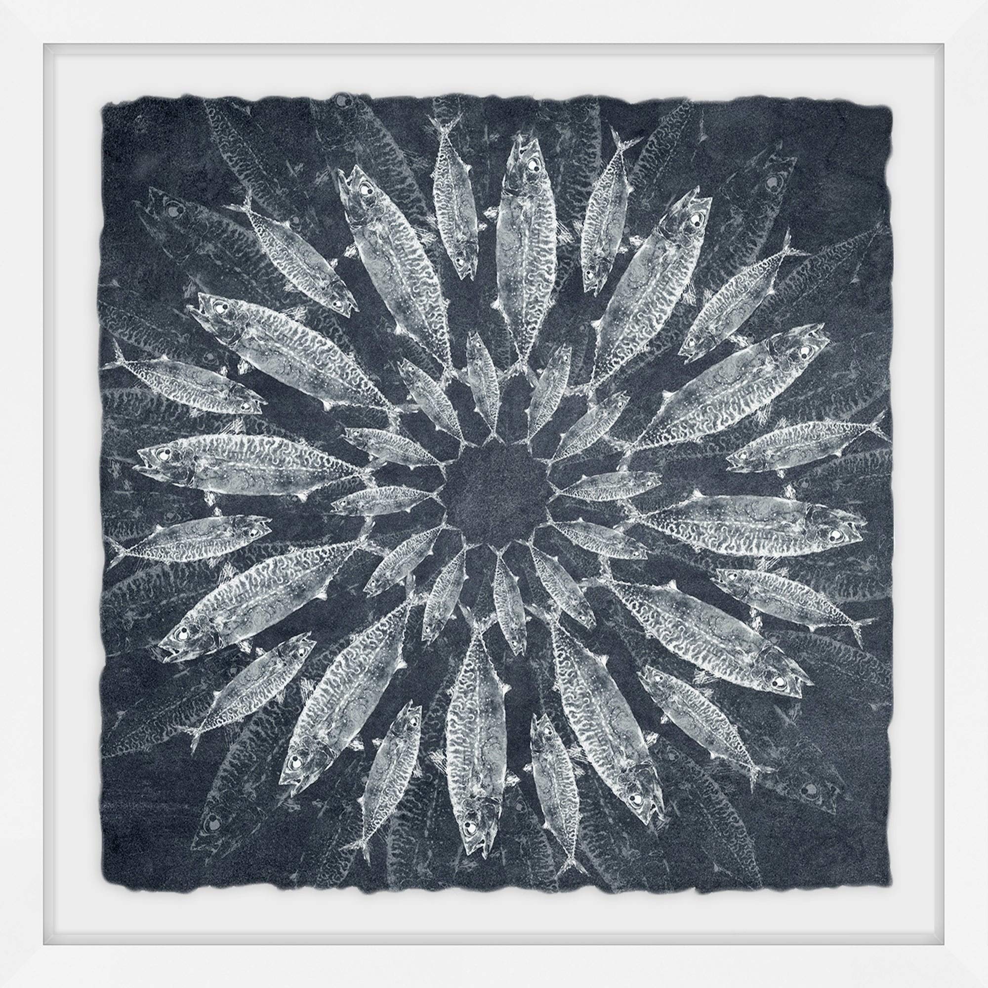Handmade Concentric Fish V2 Framed Print - From Where - 
