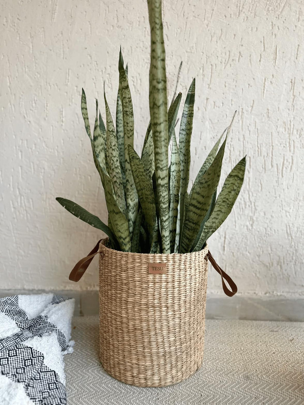 Handmade Sea Grass Planters - From Where - 