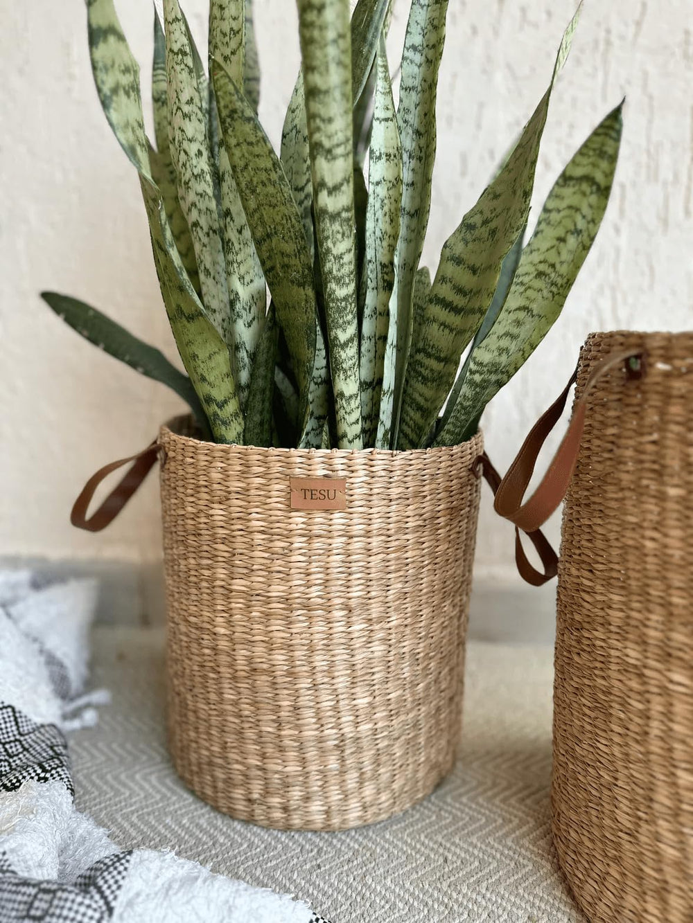 Handmade Sea Grass Planters - From Where - 