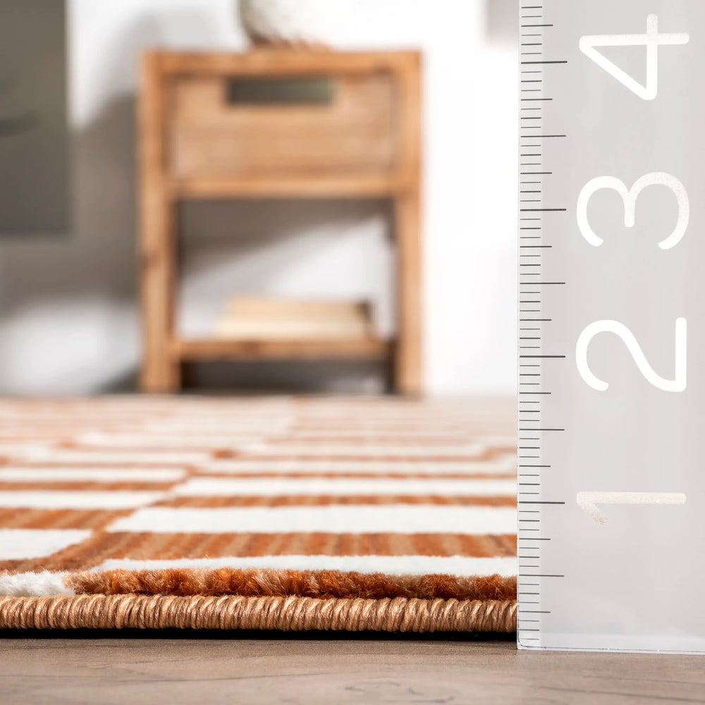 Rasali Checkered Box Rug