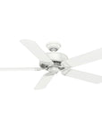Indoor Ceiling Fan with Remote - From Where - 