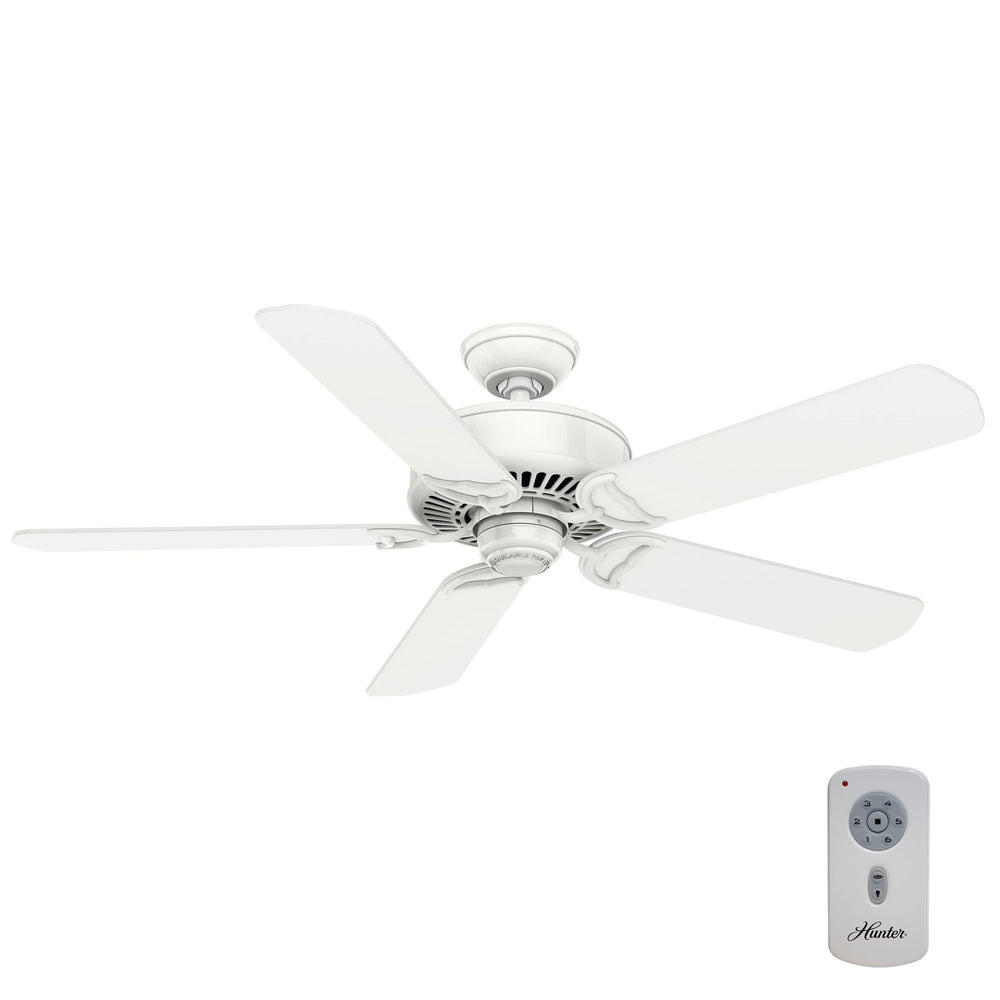 Indoor Ceiling Fan with Remote - From Where - 