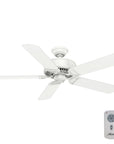 Indoor Ceiling Fan with Remote - From Where - 