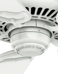 Indoor Ceiling Fan with Remote - From Where - 