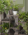 Indoor Wood Tall Plant Stand - From Where - 