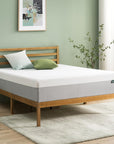 King Green Tea Essential Memory Foam Mattress - From Where - 