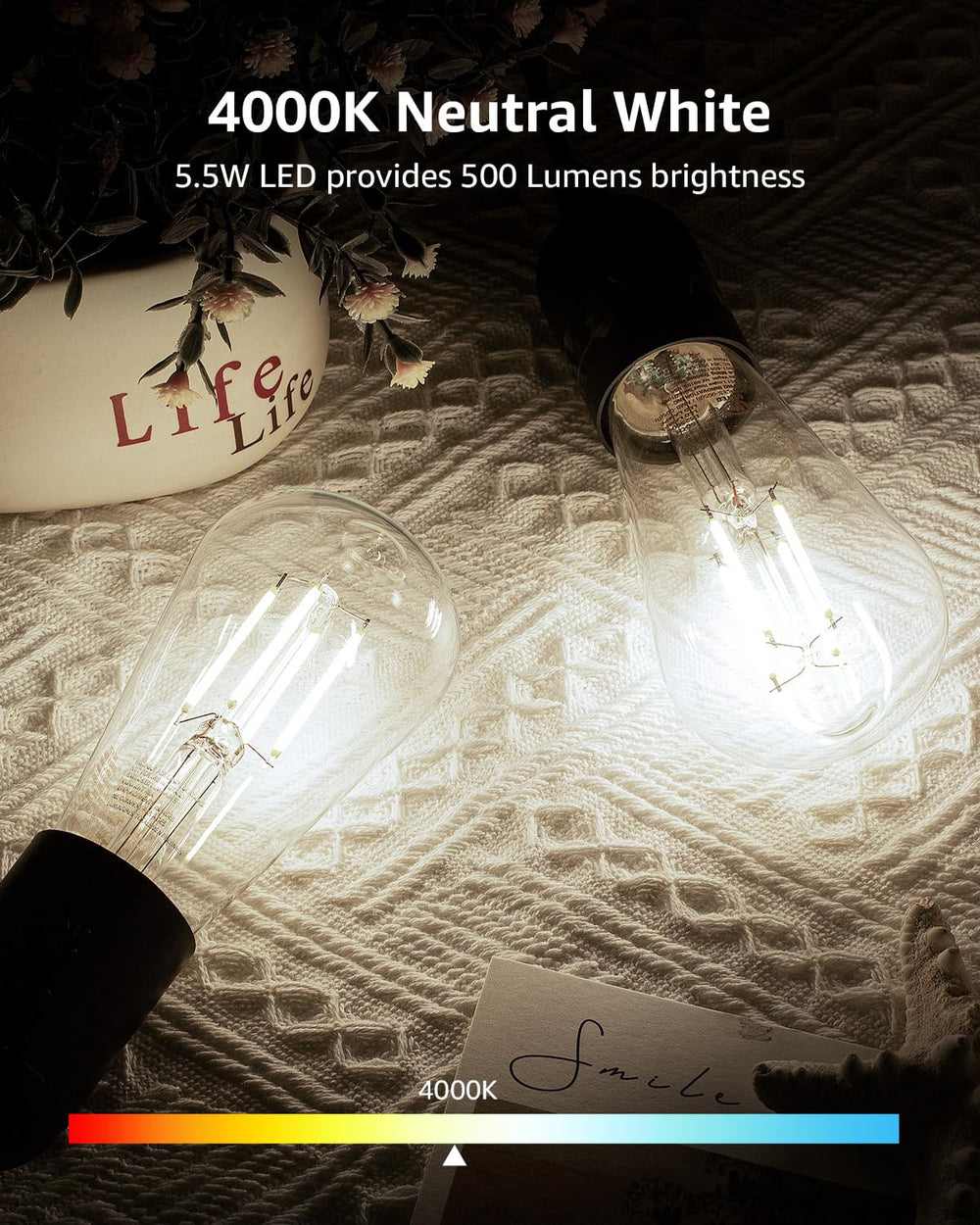 Lepro Dimmable LED Edison Bulbs - From Where - 
