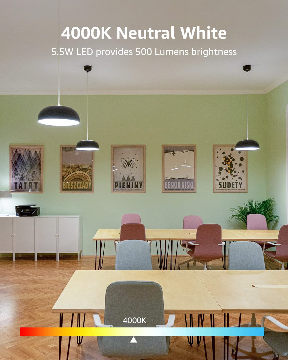 Lepro Dimmable LED Edison Bulbs - From Where - 