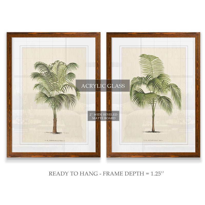 Les Palmiers I by Vincent Van Gogh (Set of 2) - From Where - 
