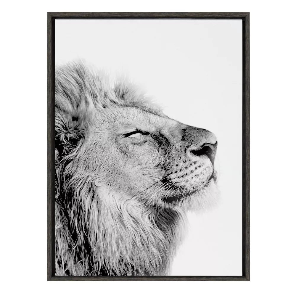Lion Framed Canvas Wall Art - From Where - 