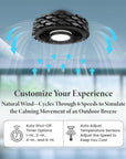 Low Profile Bladeless Ceiling Fan - From Where - 