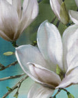 Magnolia Morning Teal By R. Daniels Print - From Where - 