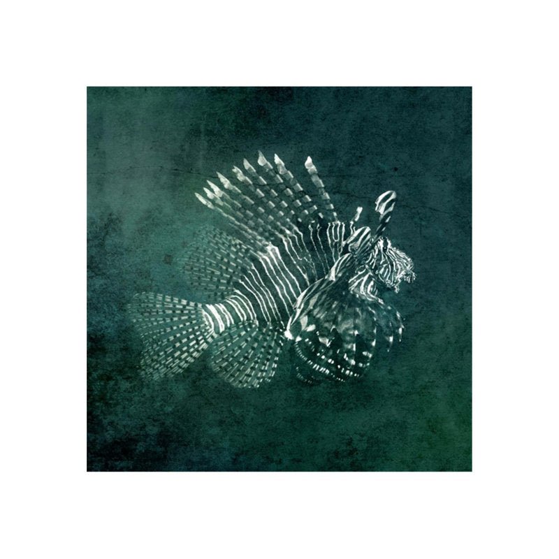 Marine Collection I Graphic Art - From Where - 