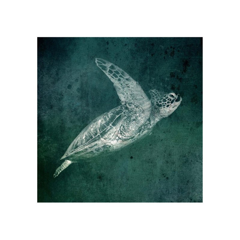 Marine Collection II Graphic Art - From Where - 
