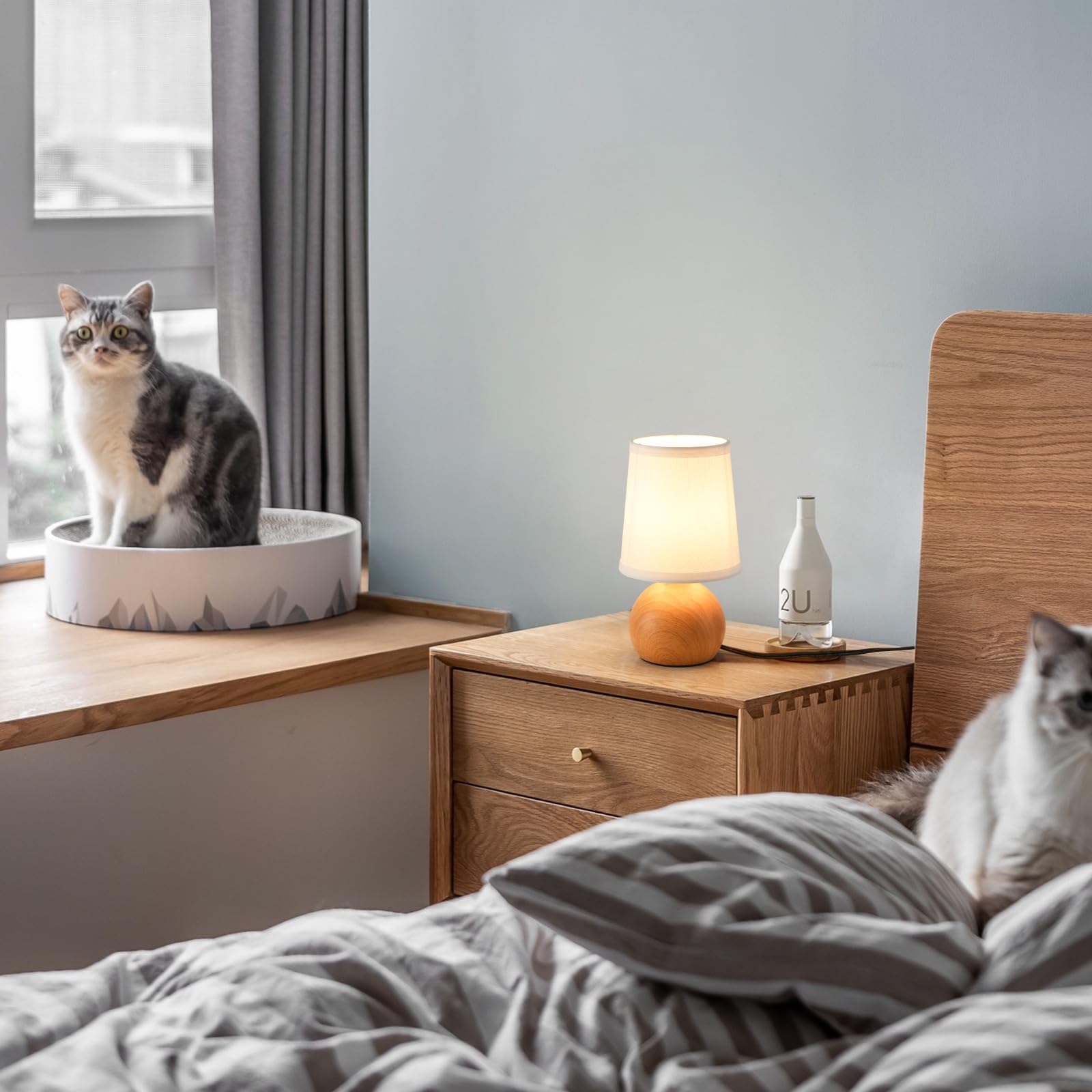 Modern Bedside Table Lamp - From Where - 