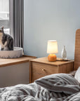 Modern Bedside Table Lamp - From Where - 