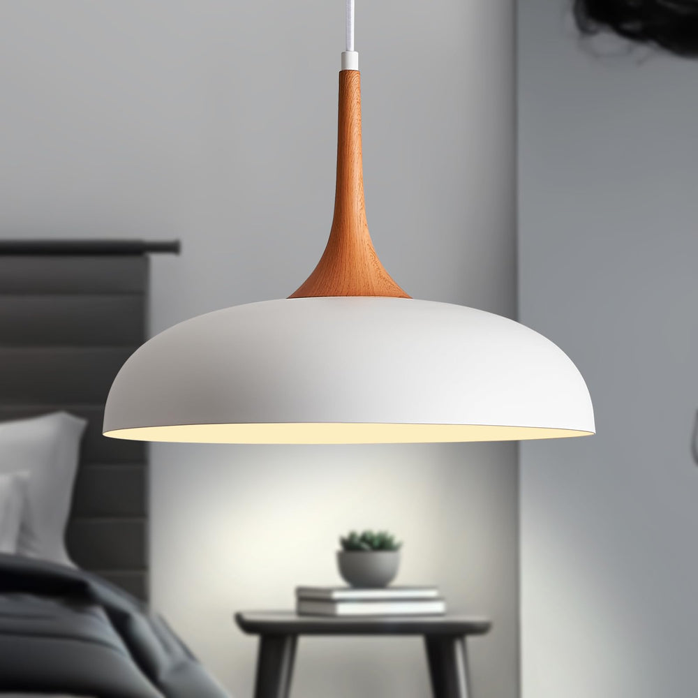 Modern Pendant Light Fixtures - From Where - 