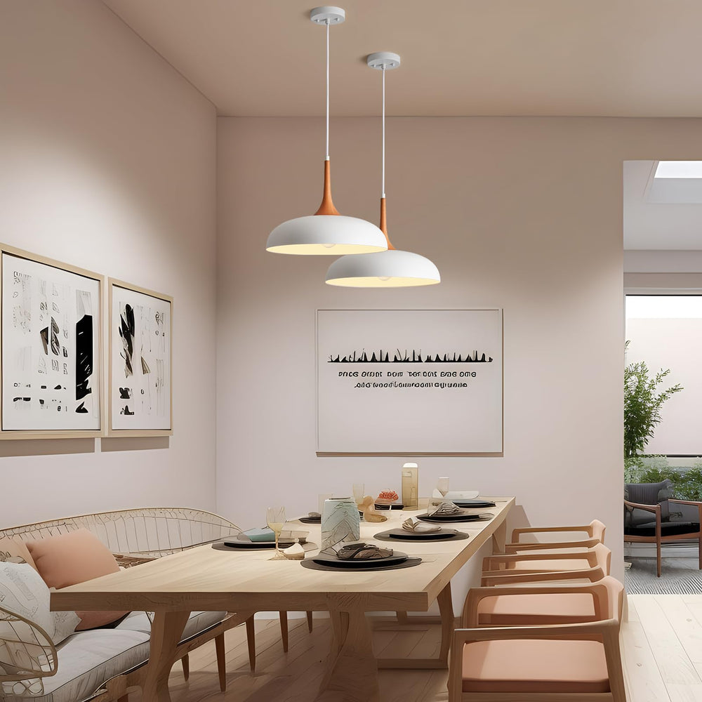 Modern Pendant Light Fixtures - From Where - 