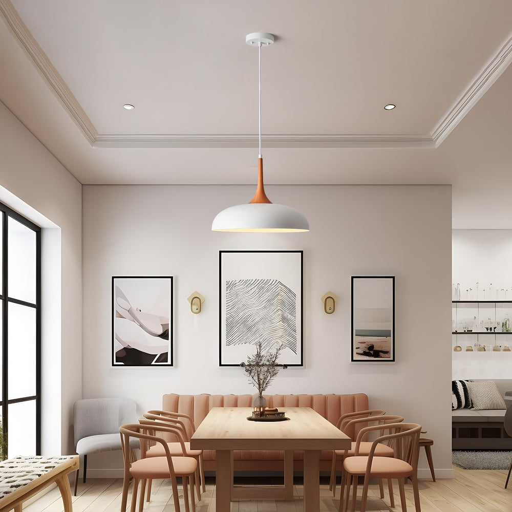 Modern Pendant Light Fixtures - From Where - 