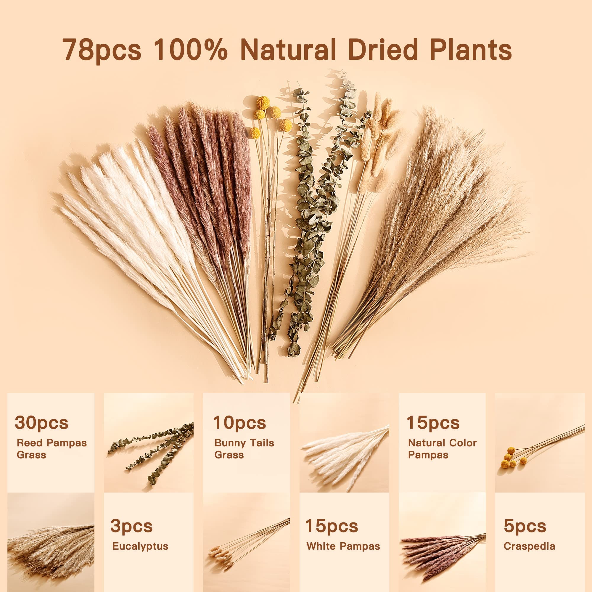 Natural Dried Pampas Grass Bouquet Home Decor - From Where - 