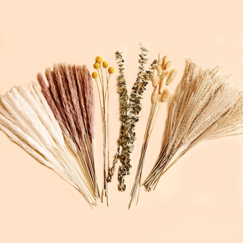 Natural Dried Pampas Grass Bouquet Home Decor - From Where - 