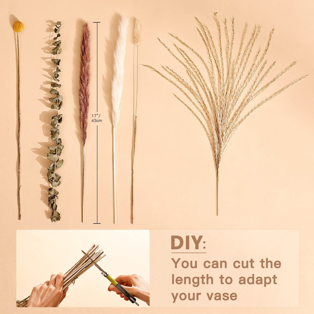 Natural Dried Pampas Grass Bouquet Home Decor - From Where - 