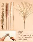 Natural Dried Pampas Grass Bouquet Home Decor - From Where - 