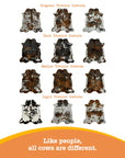 Natural Leather Genuine Cowhide Rug - From Where - 