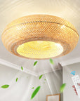 Nihar 20" Boho Rattan Caged Ceiling Fan with Lights - From Where - 