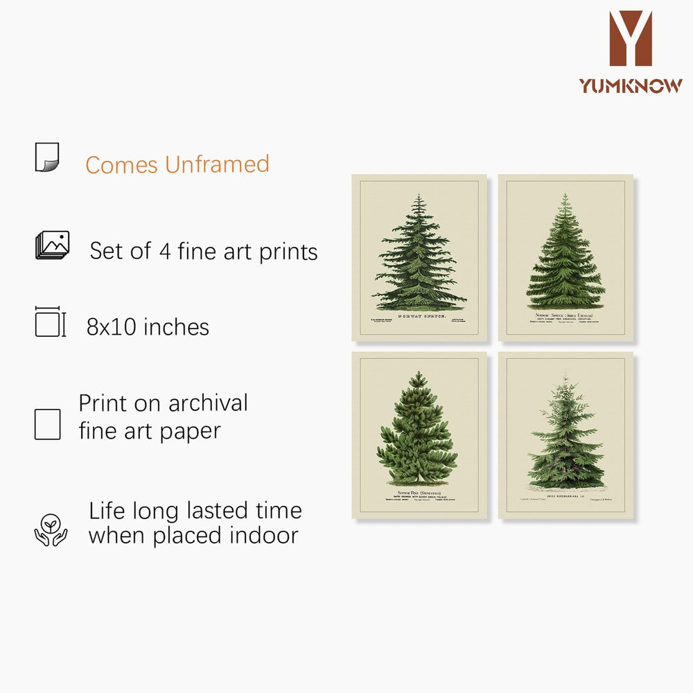 Norway Spruce Scotch Pine Gallery Wall - From Where - 