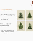 Norway Spruce Scotch Pine Gallery Wall - From Where - 