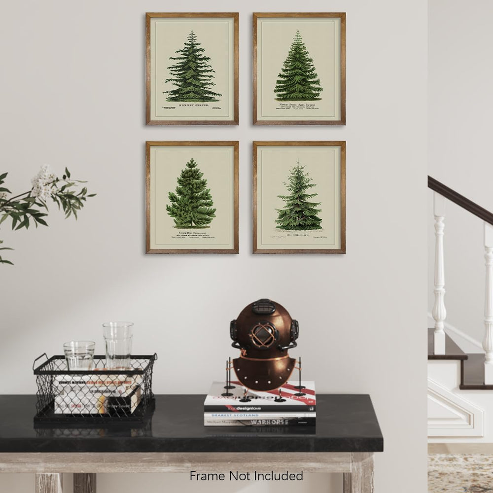 Norway Spruce Scotch Pine Gallery Wall - From Where - 