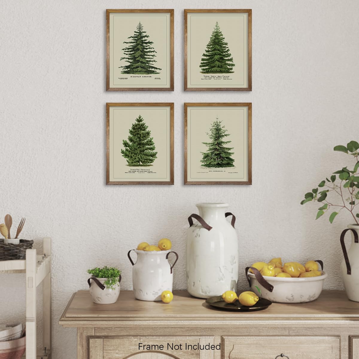 Norway Spruce Scotch Pine Gallery Wall - From Where - 