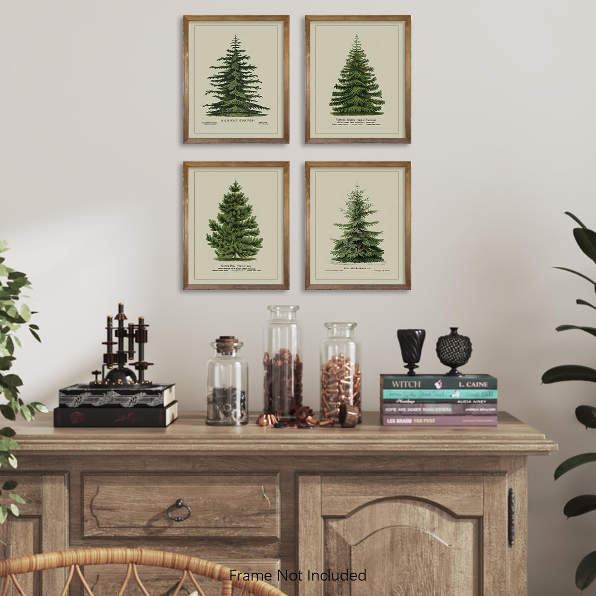 Norway Spruce Scotch Pine Gallery Wall - From Where - 