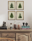 Norway Spruce Scotch Pine Gallery Wall - From Where - 