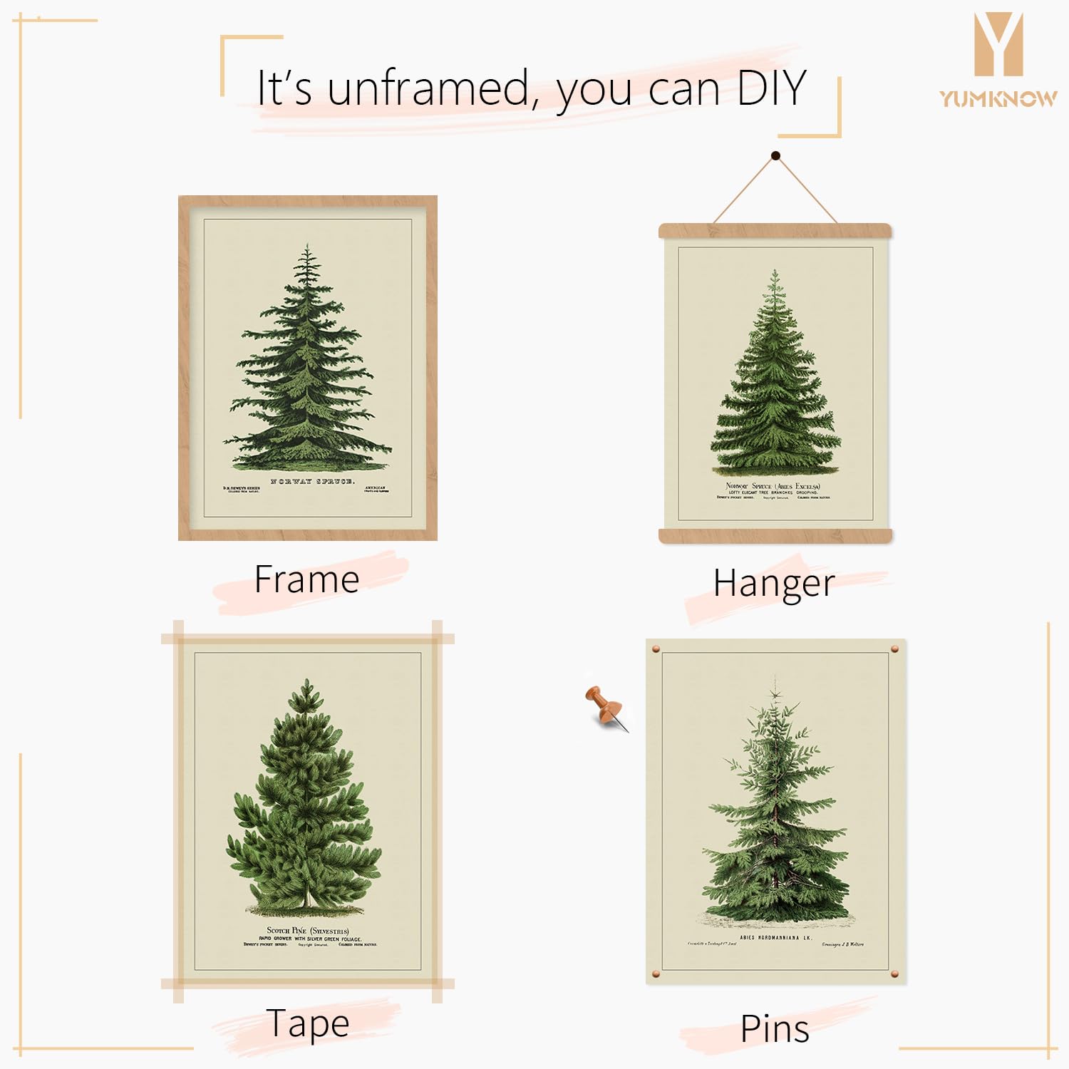 Norway Spruce Scotch Pine Gallery Wall - From Where - 