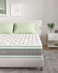 Novilla Queen Mattress - From Where - 