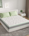 Novilla Queen Mattress - From Where - 