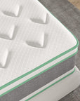 Novilla Queen Mattress - From Where - 