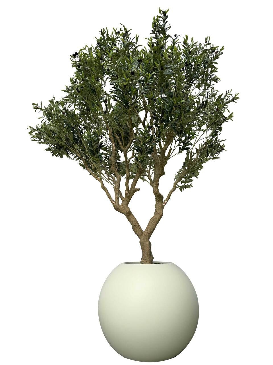 Olive Tree in 30" Globe Planter - From Where - 