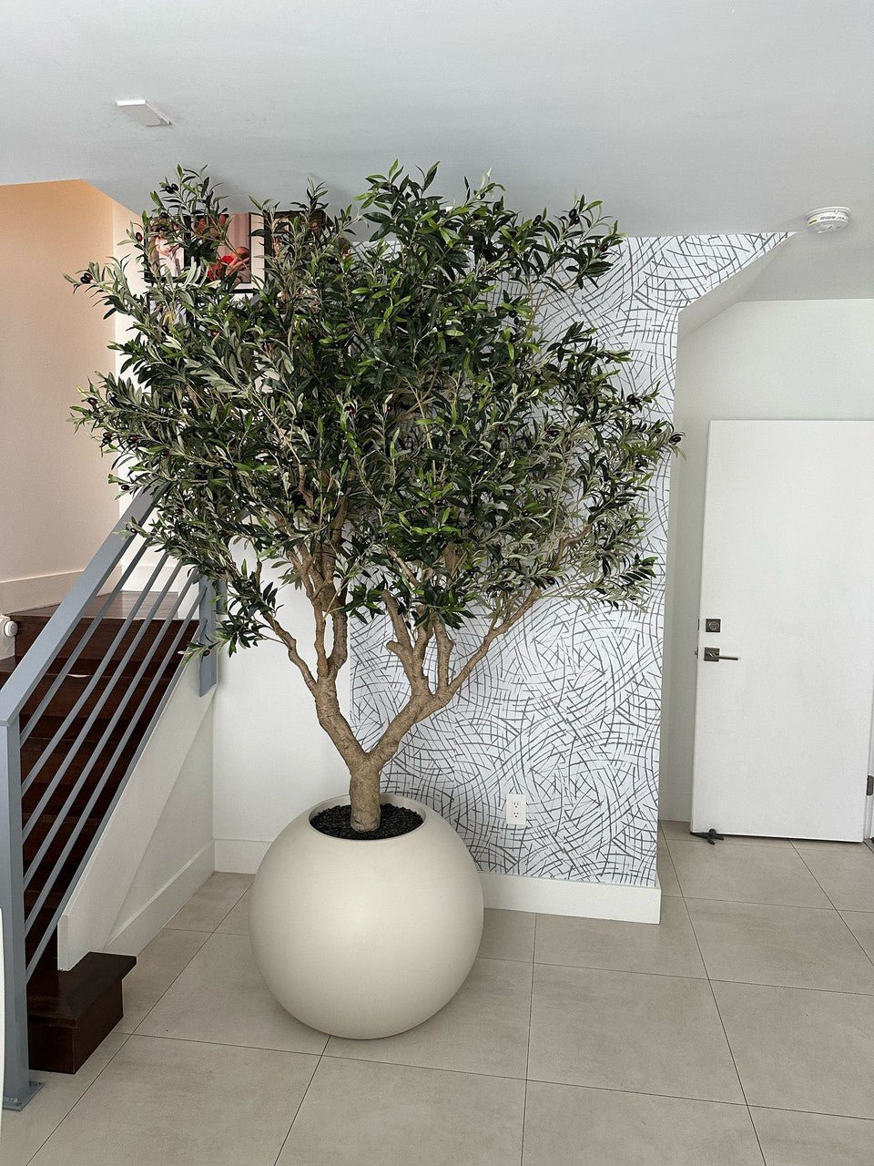 Olive Tree in 30&quot; Globe Planter - From Where - 