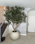 Olive Tree in 30" Globe Planter - From Where - 