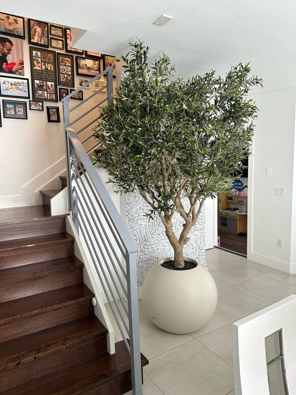 Olive Tree in 30" Globe Planter - From Where - 