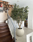 Olive Tree in 30" Globe Planter - From Where - 
