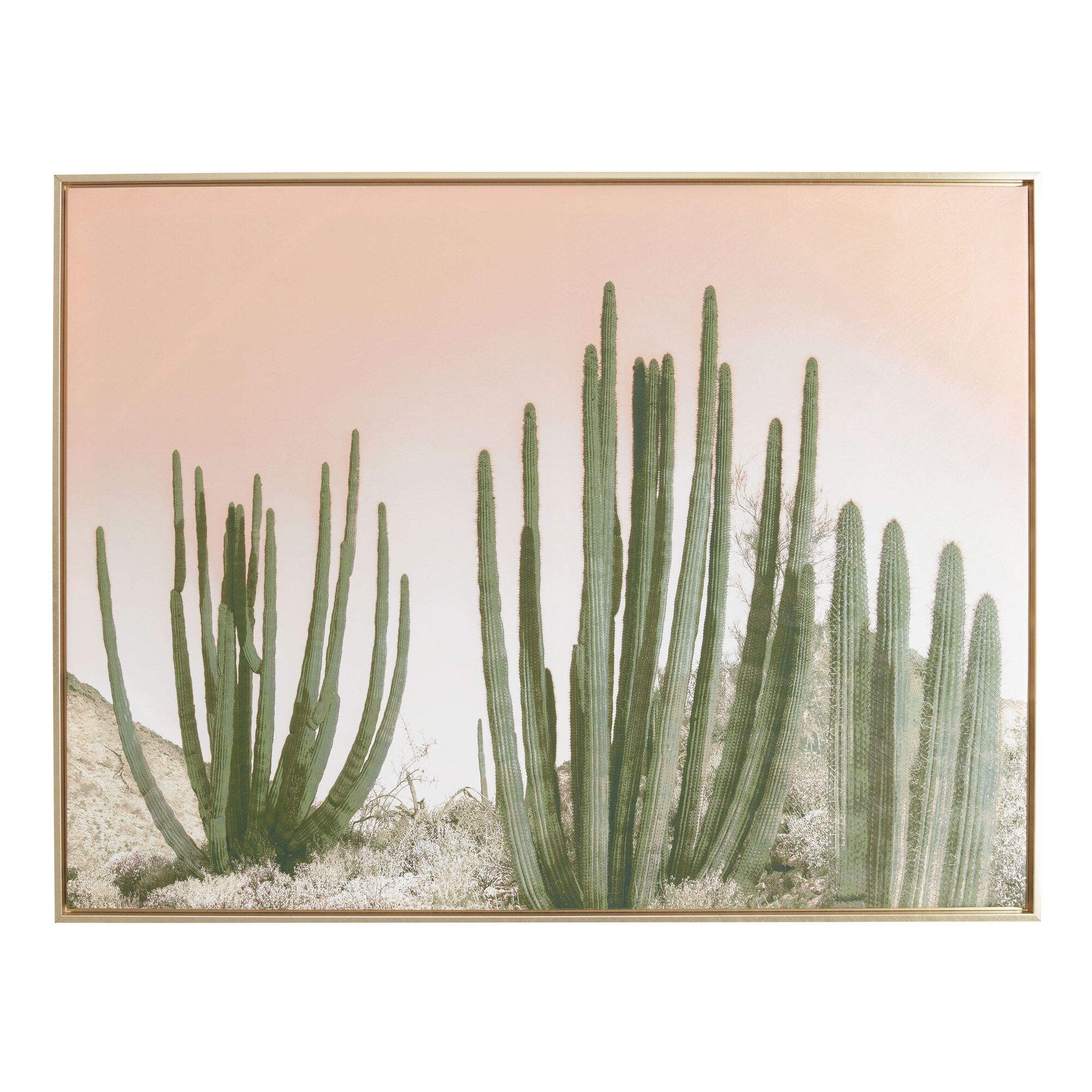 Organ Pipe Cactus Framed Canvas Wall Art - From Where - 